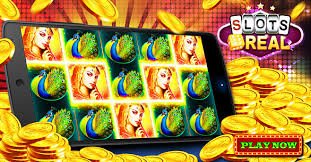 Daily entertainment browsing overview on 339bdt for Bangladesh users